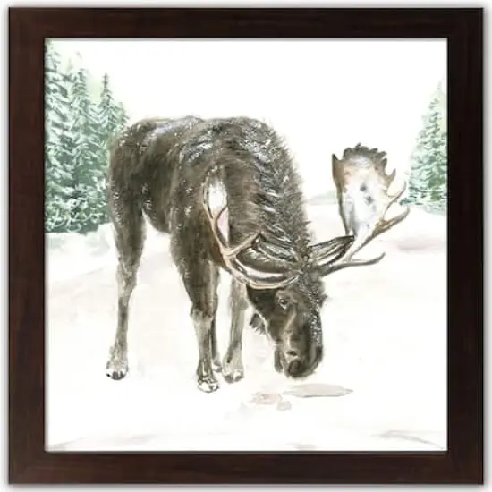 Winter Moose Walnut Framed Print Under Plexiglass {1}
