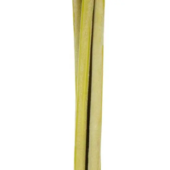 32" White Foxglove Artificial Flower Stem, 8ct. {6}