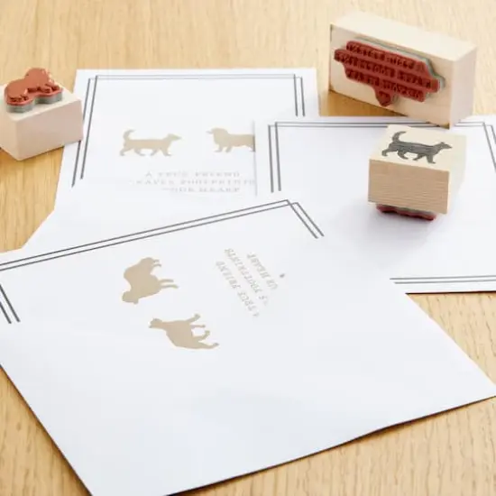 Black Border Flat Cards & Envelopes by Recollections&trade;, 4.25" x 5.5" {4}