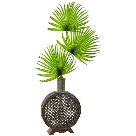 3.5ft. Fan Palm in Open Weave Vase {1}