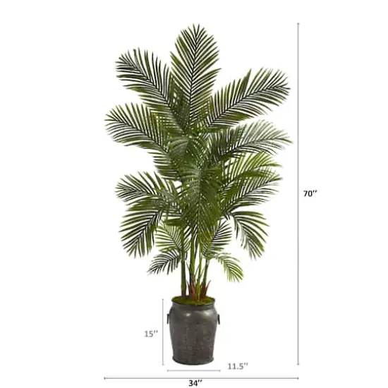 6ft. Areca Palm Tree in Metal Planter {3}