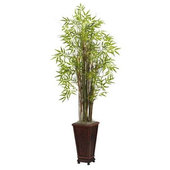 5.5ft. Grass Bamboo Plant in Decorative Planter {1}