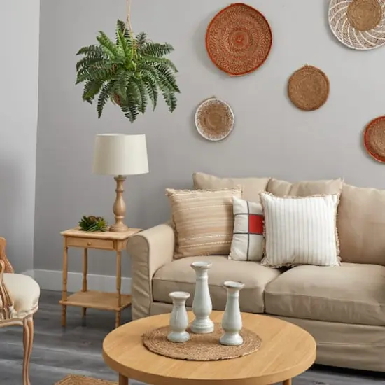 18" Boston Fern Hanging Basket {5}