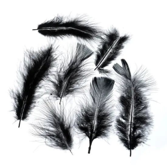 John Bead 4"-6" Marabou Feathers Black {3}