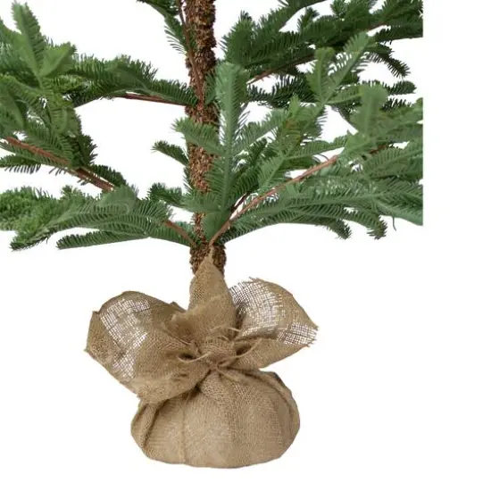 5ft. Unlit Ponderosa Pine Artificial Christmas Tree in Jute Base {6}