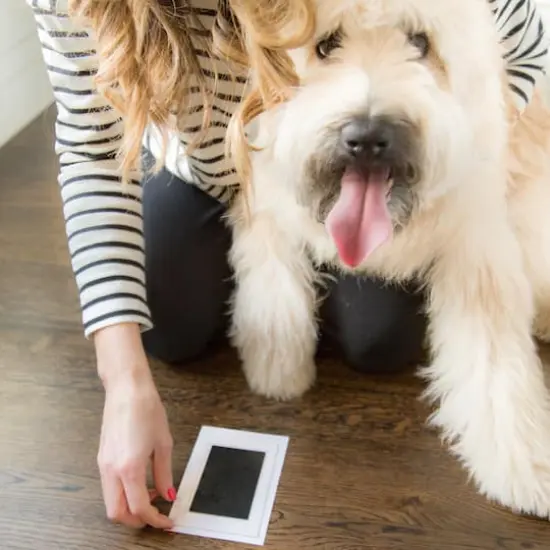 Pearhead Clean-Touch Ink Pad {6}