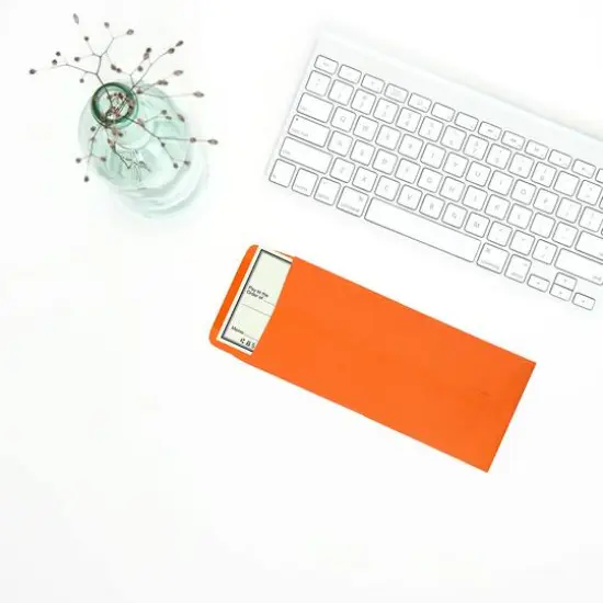 JAM Paper 4.125" x 9.5" Policy Business Colored Envelopes, 50ct. Orange {5}