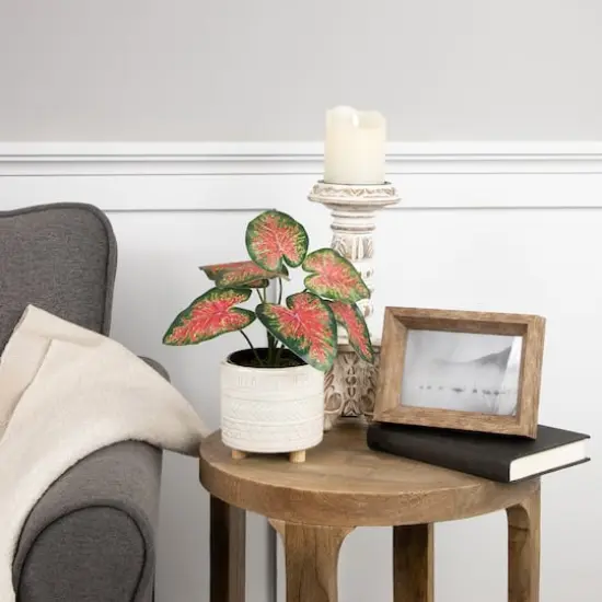 8" Potted Rohdea Plant {3}