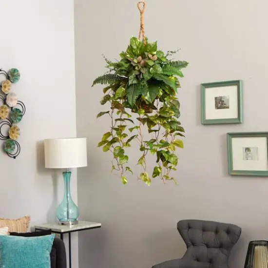 3.5ft Pothos and Boston Fern Hanging Basket {6}