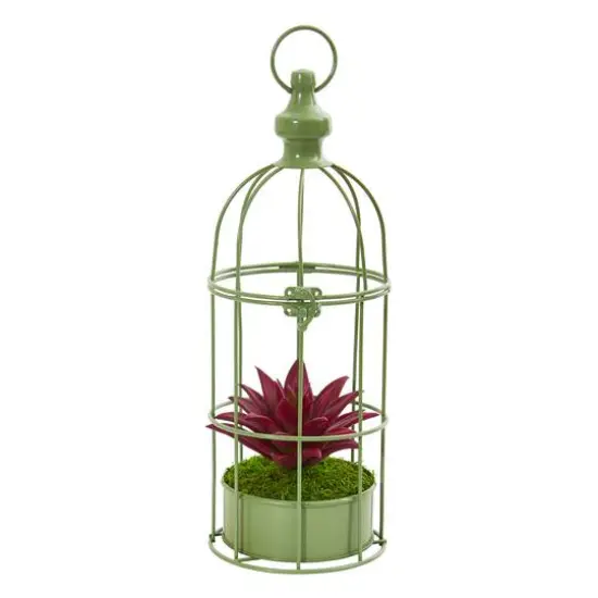 15" Succulent Plant in Decorative Cage {1}