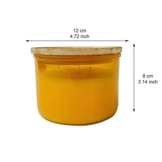 13.5oz. 3 Wick Scented Jar Candle by Ashland&reg; Honeyed Apricot {5}