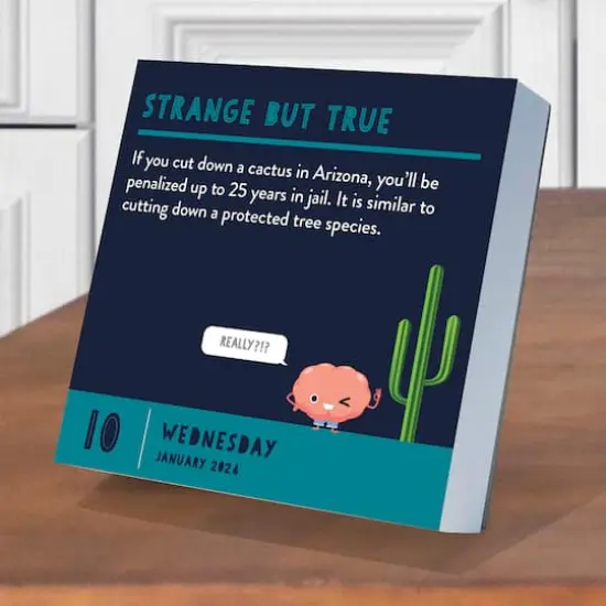 TF Publishing 2024 Smarty Pants Daily Desktop Calendar {4}