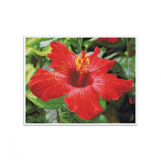 Diamond Dotz&reg; Intermediate Hibiscus in Bloom Pre-Framed Diamond Painting Kit {5}