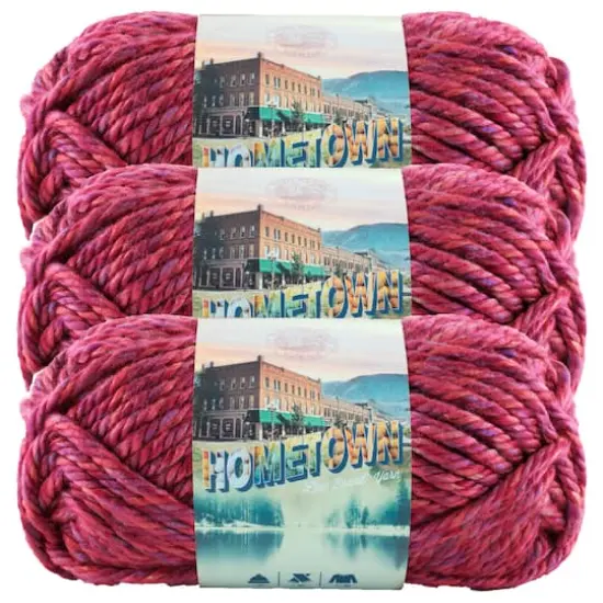 3 Pack Lion Brand&reg; Hometown Variegates Yarn Phoenix Azalea {1}