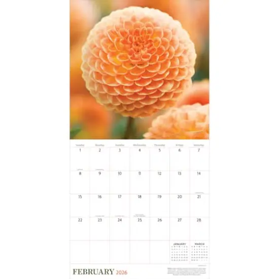 2026 Flowers Wall Calendar {3}