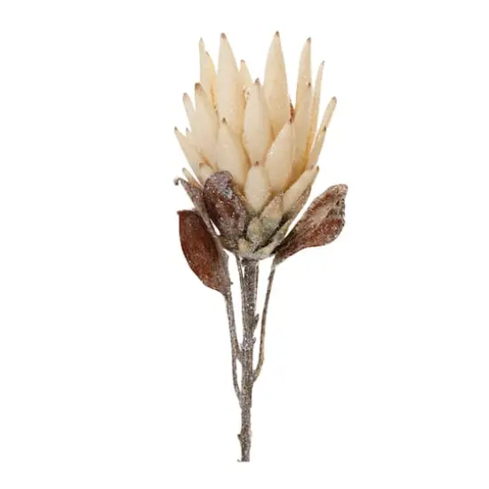 29.25" Red Protea Flower Stems, 2ct. Beige {4}
