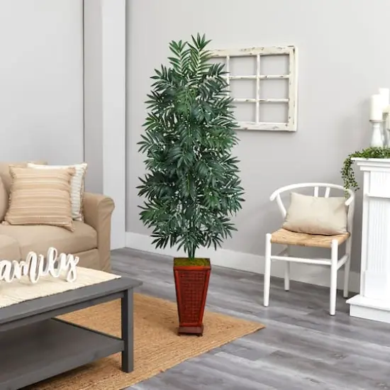 5.5ft. Bamboo Palm Plant in Decorative Planter {4}