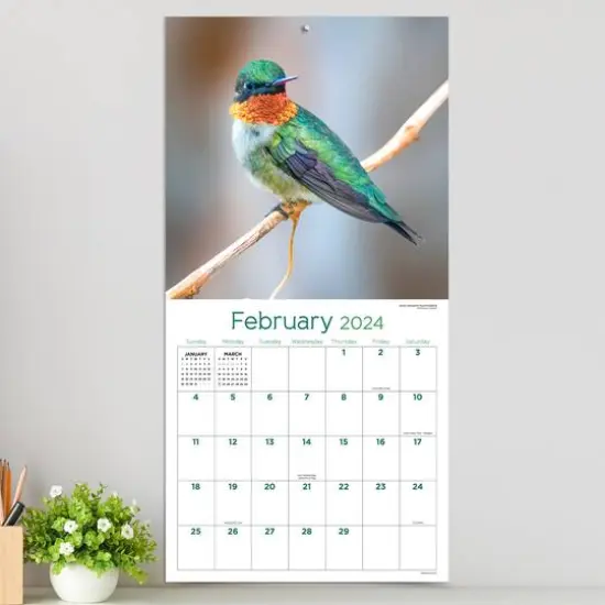 TF Publishing 2024 Backyard Birds Wall Calendar {5}