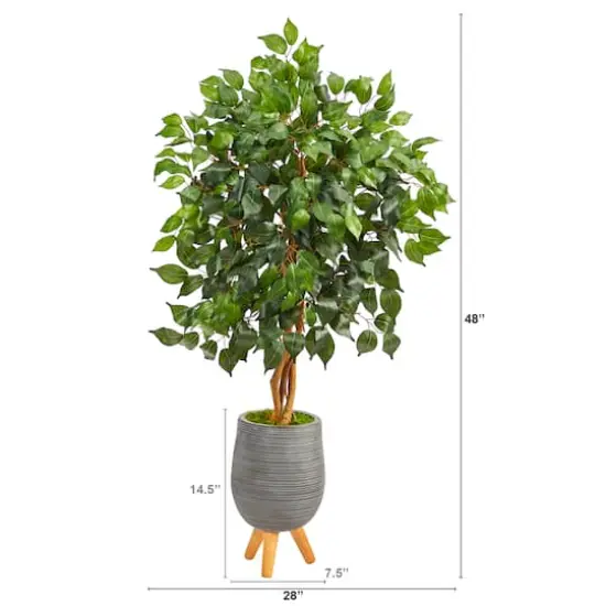 4ft. Ficus Tree in Gray Planter with Stand {3}