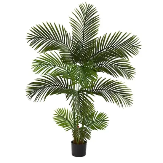 5ft. Potted Areca Palm Tree {1}