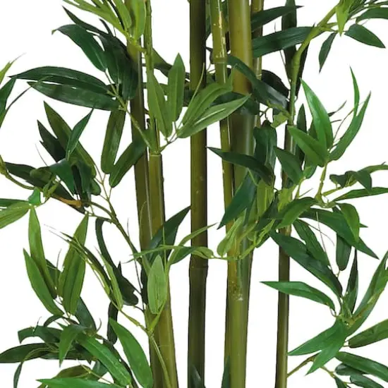 4ft. Potted Bamboo Plant {4}