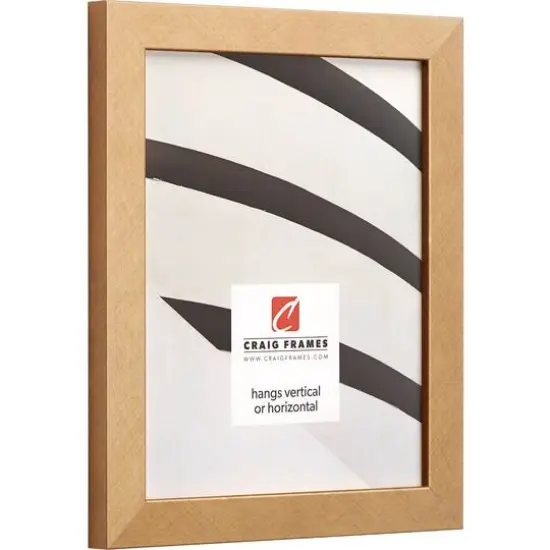 Craig Frames Essentials Gold Picture Frame {4}