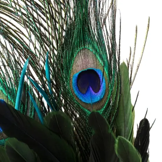 35" Peacock Feather Pick by Ashland&reg; {4}