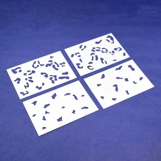 Leopard Layering Stencils by Recollections&trade; {4}