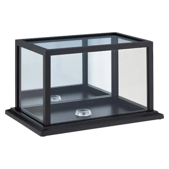 Black Football Display Case With Mirror Back by Studio D&eacute;cor&reg; {1}