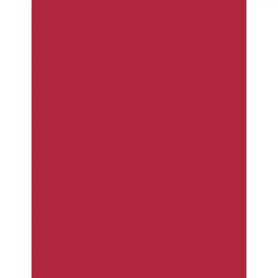 PA Paper&reg; 8.5" x 11" 65lb. Smooth Cardstock, 1,000 Sheets Red Devil {1}