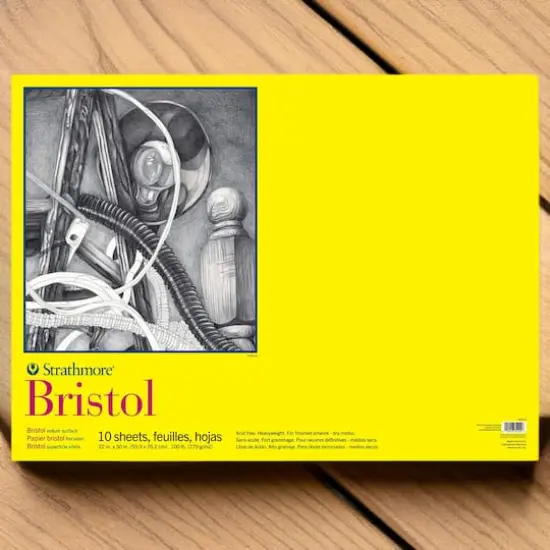 Strathmore&reg; 300 Series Bristol Vellum Surface Pad, 22" x 30" {5}