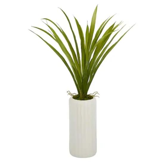 19'' Grass Plant in Tall White Planter {1}