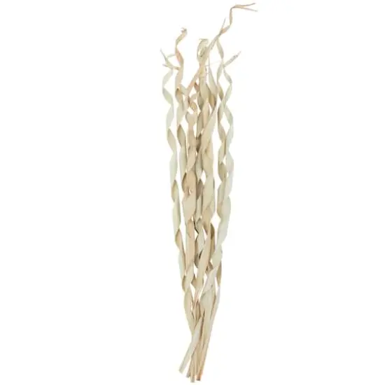 Cream Palm Leaf Tall Rolled Natural Foliage Bundle {5}