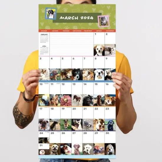 TF Publishing 2024 Dog-A-Day Wall Calendar {6}