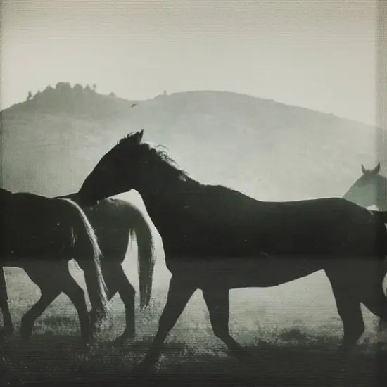 8.75" Horses Block Tabletop D&eacute;cor by Ashland&reg; {4}