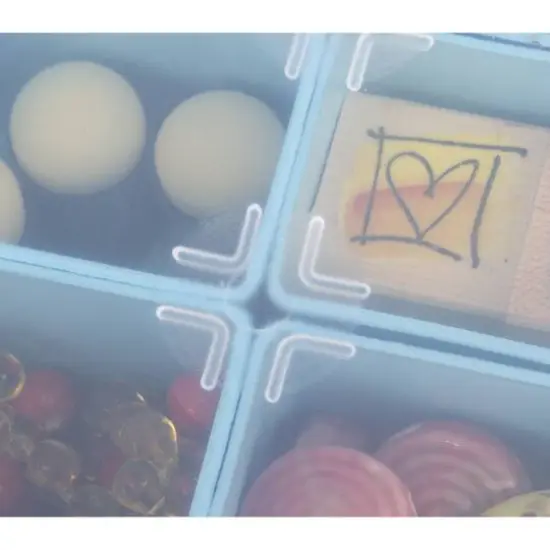 ArtBin&reg; Large Quick View&trade; Storage Container with Removable Bins {5}