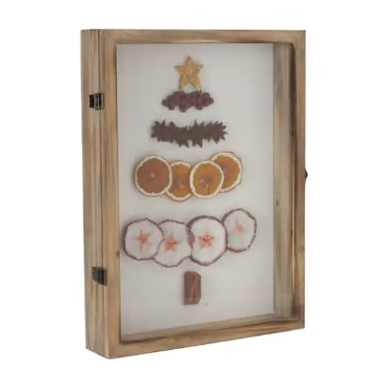 16" Dried Fruit Tree Shadow Box {1}