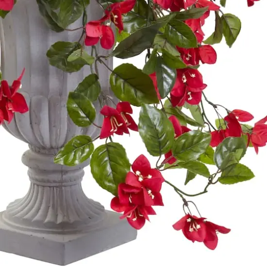 28" Bougainvillea In Decorative Urn {4}