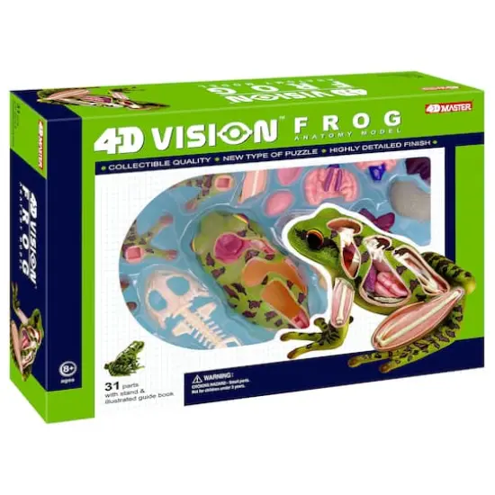 4D Vision&trade; Frog Anatomy Model {1}