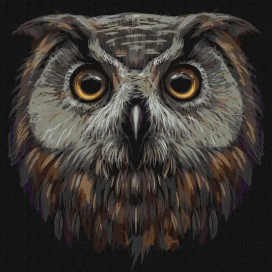 Ideyka Bird of Wisdom Painting by Numbers Kit {1}