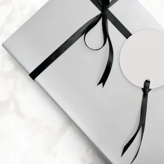 JAM Paper Matte Gift Wrap, 2ct. Silver {6}