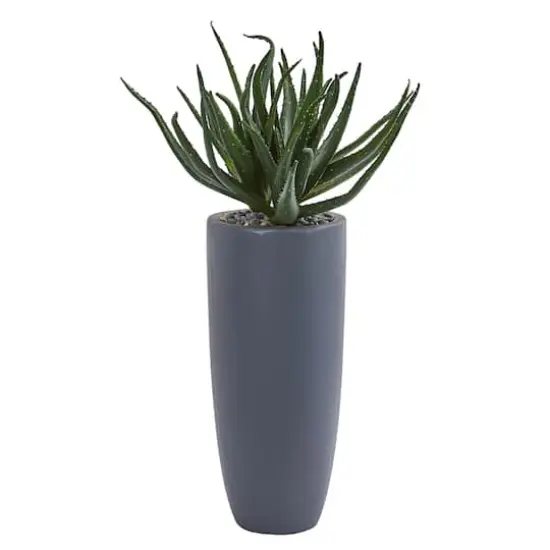 2.5ft. Aloe in Gray Planter {1}