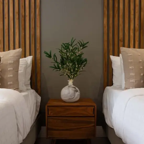 23" Pre-Lit Olive Branch Stem Set {3}