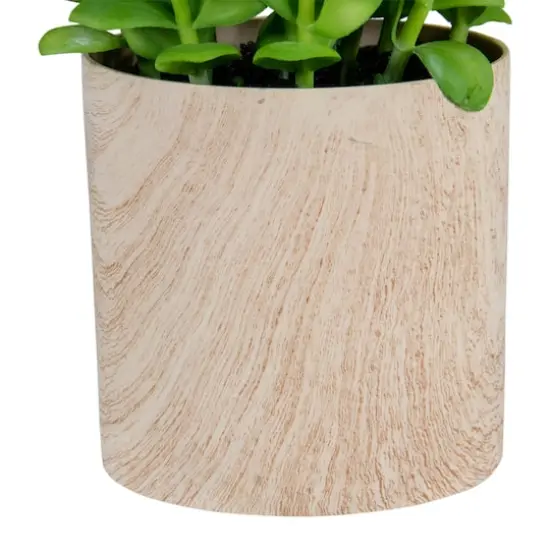 10" Green Privet Plant in Faux Wood Pot {4}