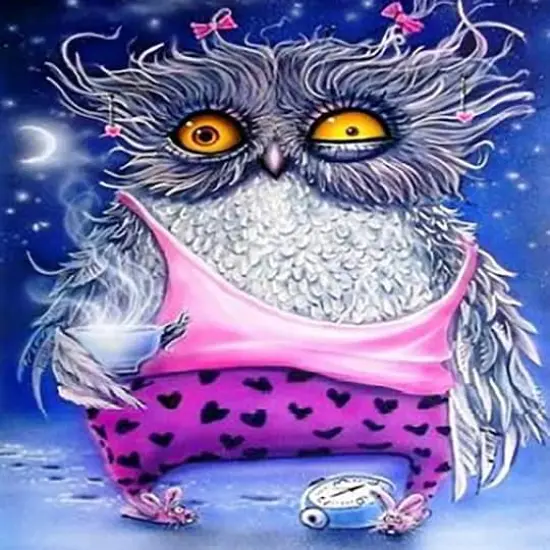 Sparkly Selections Pajama Owl Diamond Painting Kit, Round Diamonds {1}