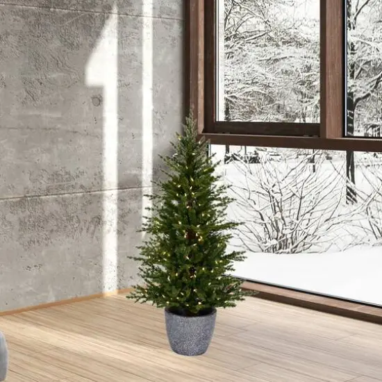 3.5ft. Pre-Lit Belgrade Pine Artificial Christmas Tree, Clear Dura-Lit&reg; LED Lights {3}