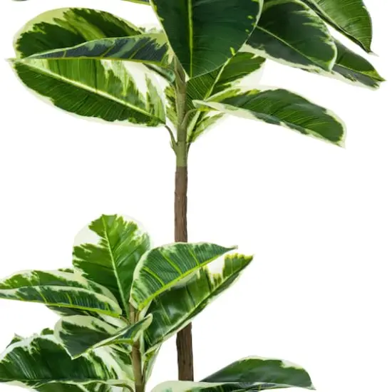 4ft. Potted Artificial Dumb Cane Tree {7}