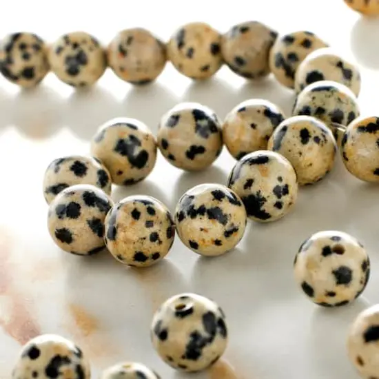 Dalmatian Jasper Round Beads, 8mm by Bead Landing&trade; {3}