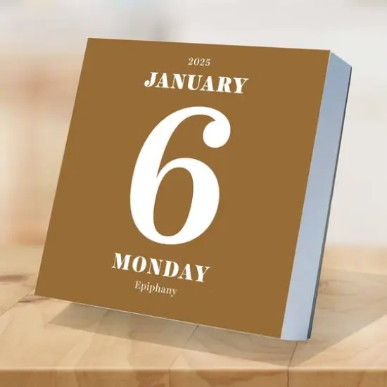 TF Publishing 2025 Big Print Daily Desktop Calendar {6}