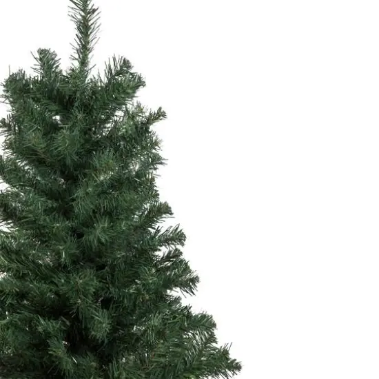 2ft. Unlit Blackwater Fir Artificial Christmas Tree {4}